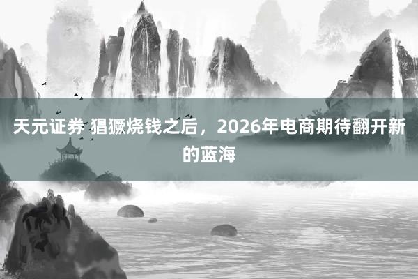 天元证券 猖獗烧钱之后，2026年电商期待翻开新的蓝海