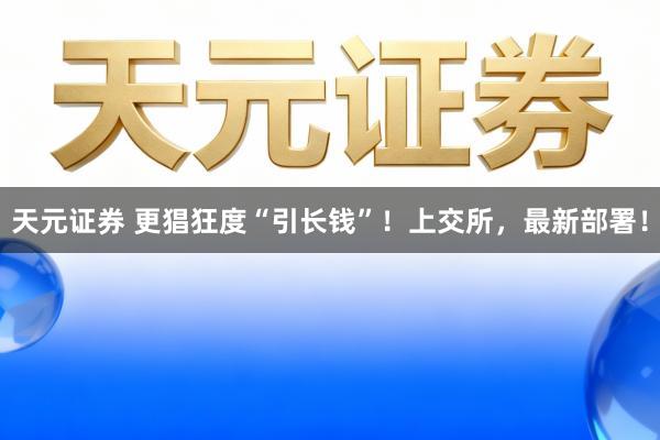 天元证券 更猖狂度“引长钱”！上交所，最新部署！