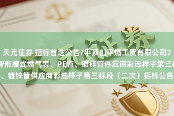 天元证券 招标首选公告/平顶山平燃工贸有限公司2026年NB-IoT物联网智能膜式燃气表、PE管、镀锌管供应商彩选样子第三标段（二次）招标公告