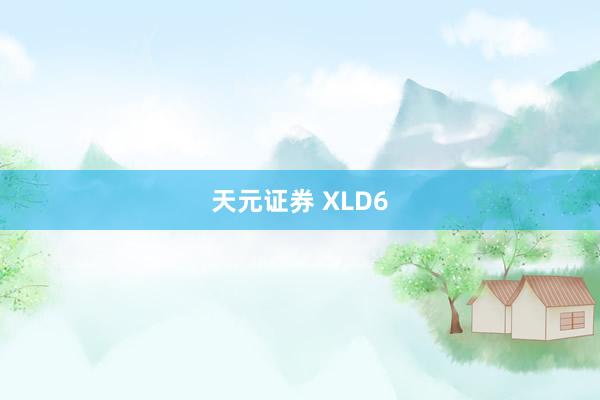 天元证券 XLD6