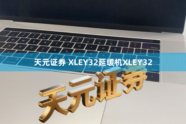 天元证券 XLEY32延缓机XLEY32
