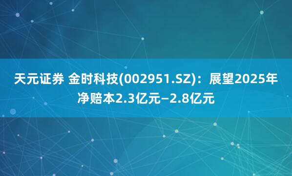 天元证券 金时科技(002951.SZ)：展望2025年净赔本2.3亿元—2.8亿元